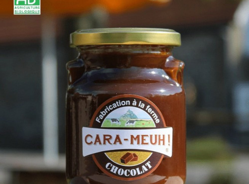 La Ferme des Cara-Meuh - Crème de caramel chocolat BIO – pot 300g