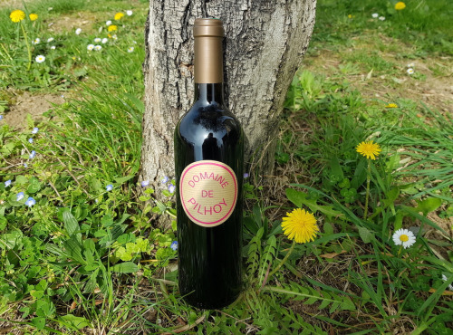 Domaine de Pilhoy - Vin Rouge AOC Bordeaux - 6x75cl