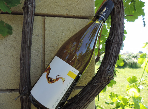 Domaine des Bourrats - Saint Pourçain AOC Blanc cuvée des Bergerons
