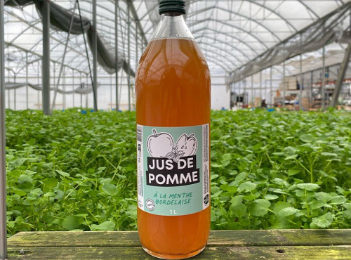 Les Nouvelles Fermes - Jus de pomme à la menthe (1L)