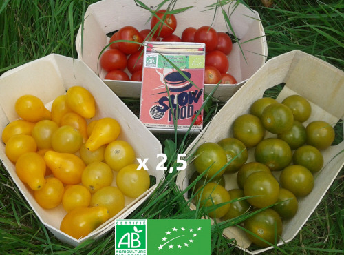 LES JARDINS DE KARINE - Tomates cerises : le TRIO gourmet (4x500g)