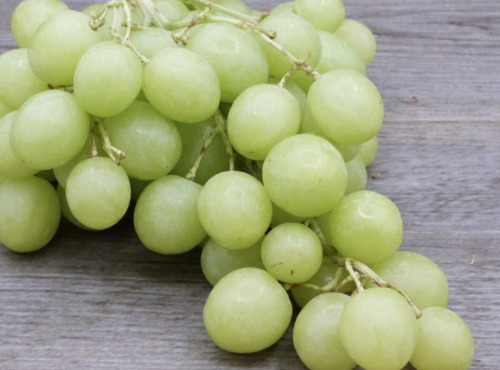 L'OLIVERAIE DU COUDON - RAISIN BLANC SANS PEPINS 3KG