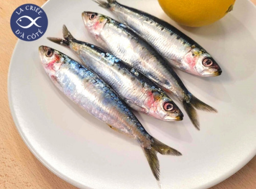 La Criée d'à Côté - Sardines Fraîches - 500 g