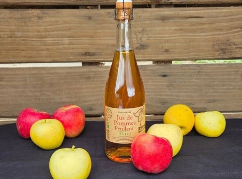 Le verger bio de Quinsac - Jus pétillant de pomme 75cl BIO et DEMETER