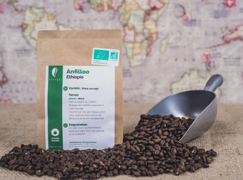 Brûlerie de Melun-Maison Anbassa - Café Anfilloo Henna Bio - Ethiopie - En Grains