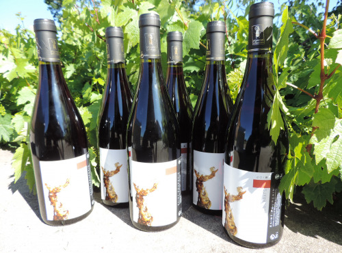 Domaine des Bourrats - Saint Pourçain AOC Rouge Tradition - 6 bouteilles