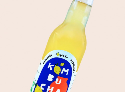 Mama Kombucha - MAMA KOMBUCHA - CITRON GINGEMBRE 12x33cl Gamme ambiante Bio
