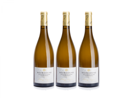 Domaine Tupinier Philippe - Bourgogne Côte D'Auxerre Blanc 2019 - 3 Bouteilles De 75 Cl