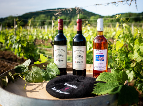 Domaine la Paganie - Coffret de 3 Bouteilles : 2 Rouges AOC Cahors et 1 Rosé Vin de France