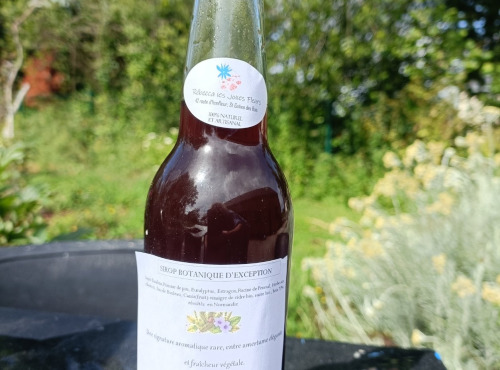 Rébecca les Jolies Fleurs - Sirop botanique d'exception
