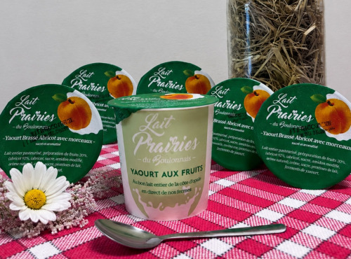 Lait Prairies du Boulonnais - Yaourt brassé Abricot - 6 x 125g