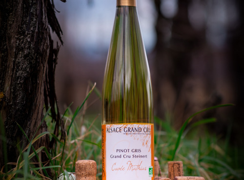 Domaine François WECK et fils - FOIRE AUX VINS : Pinot Gris Cuvée Mathias 2023- 75 cl x6