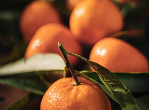 Maison Gannac - Mandarines