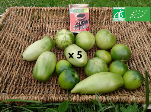 LES JARDINS DE KARINE - Tomates vertes - 5kg