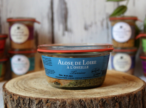 La Bourriche aux Appétits - Terrine d'Alose de Loire à l’Oseille