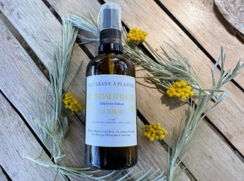 La Cabane à plantes - Hydrolat – Eau florale d’Hélichryse Italienne 10cl