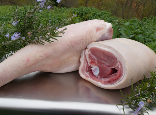 Terres EnVie - 1/4 Porcelet Mangalica Bio 3 kg