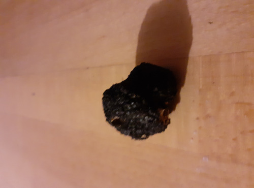 Les Vergers de la Vautée - Truffe de Bourgogne Fraîche