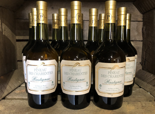 Château des Plassons - 6 Bouteilles De Pineau Des Charentes Rastignac Jeune Blanc