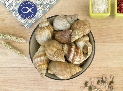 La Criée d'à Côté - Bulots Vivants | 500g