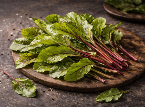 Nature et Saveurs - Ferme Aquaponique et Permacole Astérienne - Jeunes feuilles de Betterave verte — Fraîcheur végétale et douce