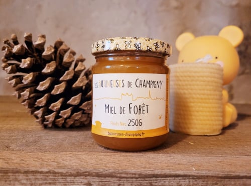 Les Butineuses de Champigny - Miel de Forêt BIO - 250g