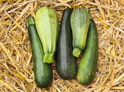 La Ferme de Goas Per - Courgette Bio - 250g