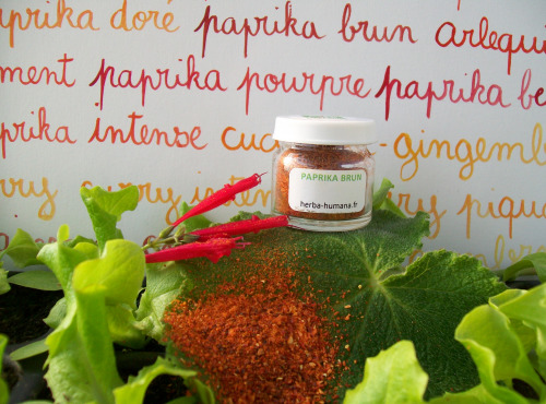 HERBA HUMANA - Paprika Brun Bio Cultivé en France 5 g