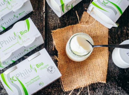 Laiterie du Climont - K-Philus - 12 Pots De K-philus Au Lait Écrémé 0%