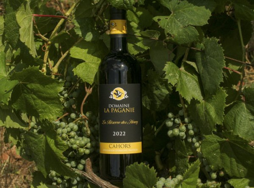 Domaine la Paganie - Vin rouge en Réserve Perpétuelle - Réserve des Henry 2022 - 1 bouteilles