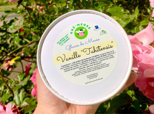 Glaces de Meuse - "Vanille Tahitensis" - Crème glacée (360gr x 3)
