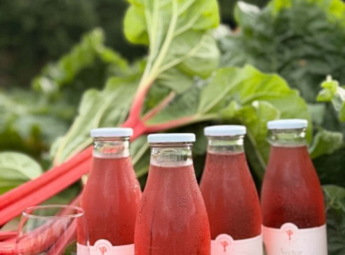 Maison Vermes - Producteurs de Rhubarbes - Lot de 12 bouteilles de Nectar de rhubarbe en 75cl