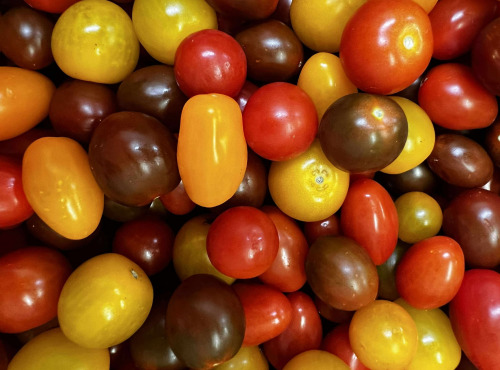 Domaine Reverchon - Tomates Cerises couleur 500gr