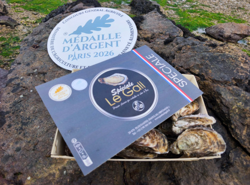 Jean Luc Le Gall Huîtres et Coquillages - Huitres Creuses SPECIALE LE GALL N°2 X 48 pièces
