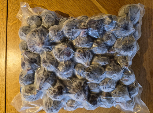 Figaro - Figues bio congelées 1kg