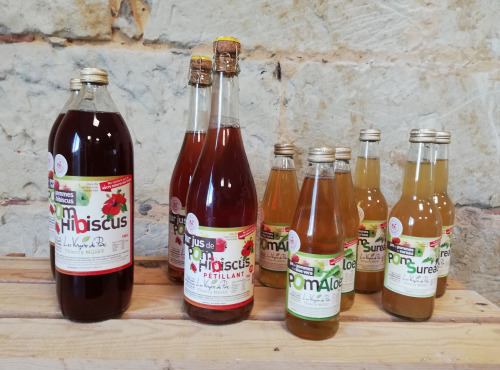 Les Vergers du Parc - Coffret Forme - 10 Bouteilles