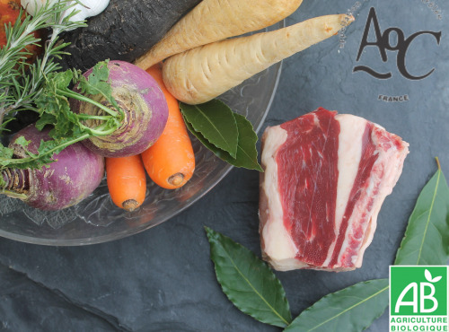 Domaine des Alliers -  Bœuf d'exception - Plat de côte sur os, à pot-au-feu, AOC Maine-Anjou, BIO – 700 g  [SURGELÉ]