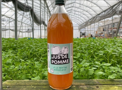 Les Nouvelles Fermes - Jus de pomme à la menthe (1L) x 6