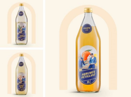 Olatu - Lot de 18 - Ginger Beer, Tonic, Agrumes