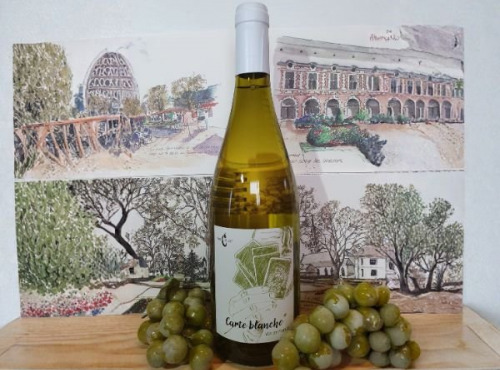 Cave Creuzet - Les Caves aux Caux - VSIG Blanc sec "Carte Blanche" - Lot de 6