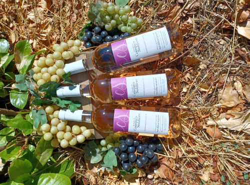 Domaine Les Conques Soulière - OFFRE Fin d'été IGP Rosé 6x75cl