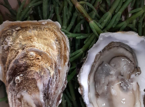 Les Huîtres Courdavault Alain & Fils - Super spéciales Courdavault, les pépites de l'Ile d'Oléron: 4 dz de calibre 2 ou 5 kg