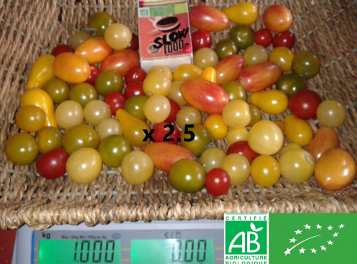 LES JARDINS DE KARINE - Tomates cerises en mélange - 2.5kg