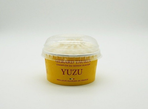 GT Designer Glacier - Sorbet Yuzu Japonais 80ml