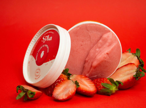 Sÿba - Glaces végétales - 120ml - Sorbet à la Fraise