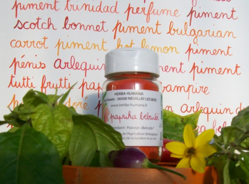 HERBA HUMANA - Paprika Belrubi Cultivé en France 30g