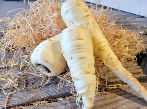 Les Jardins de Gérard - Panais Bio - 1kg