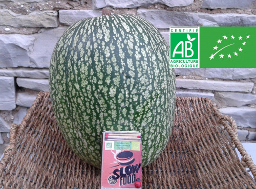 LES JARDINS DE KARINE - Courge de Siam - 4 à 4.5kg