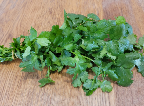 Le Pré de la Rivière - Bouquet de Coriandre Fraiche
