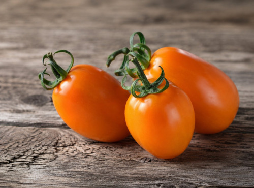 Nature et Saveurs - Ferme Aquaponique et Permacole Astérienne - Tomate orange allongée - Kg